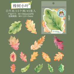  第8張的照片