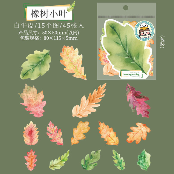  第8張的照片