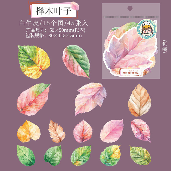  第7張的照片