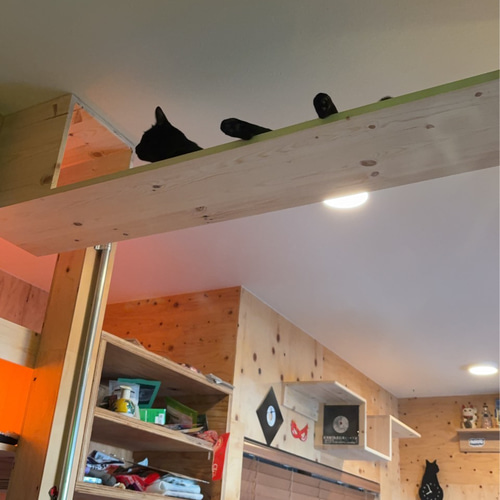 キャットウォーク一式（施工費込み） その他家具 Wood Spock 通販