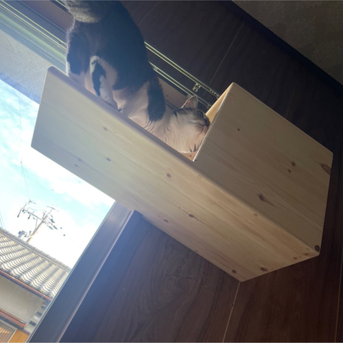 キャットウォーク一式（施工費込み） キャットウォーク一式（施工費込み） その他家具 Wood Spock 通販
