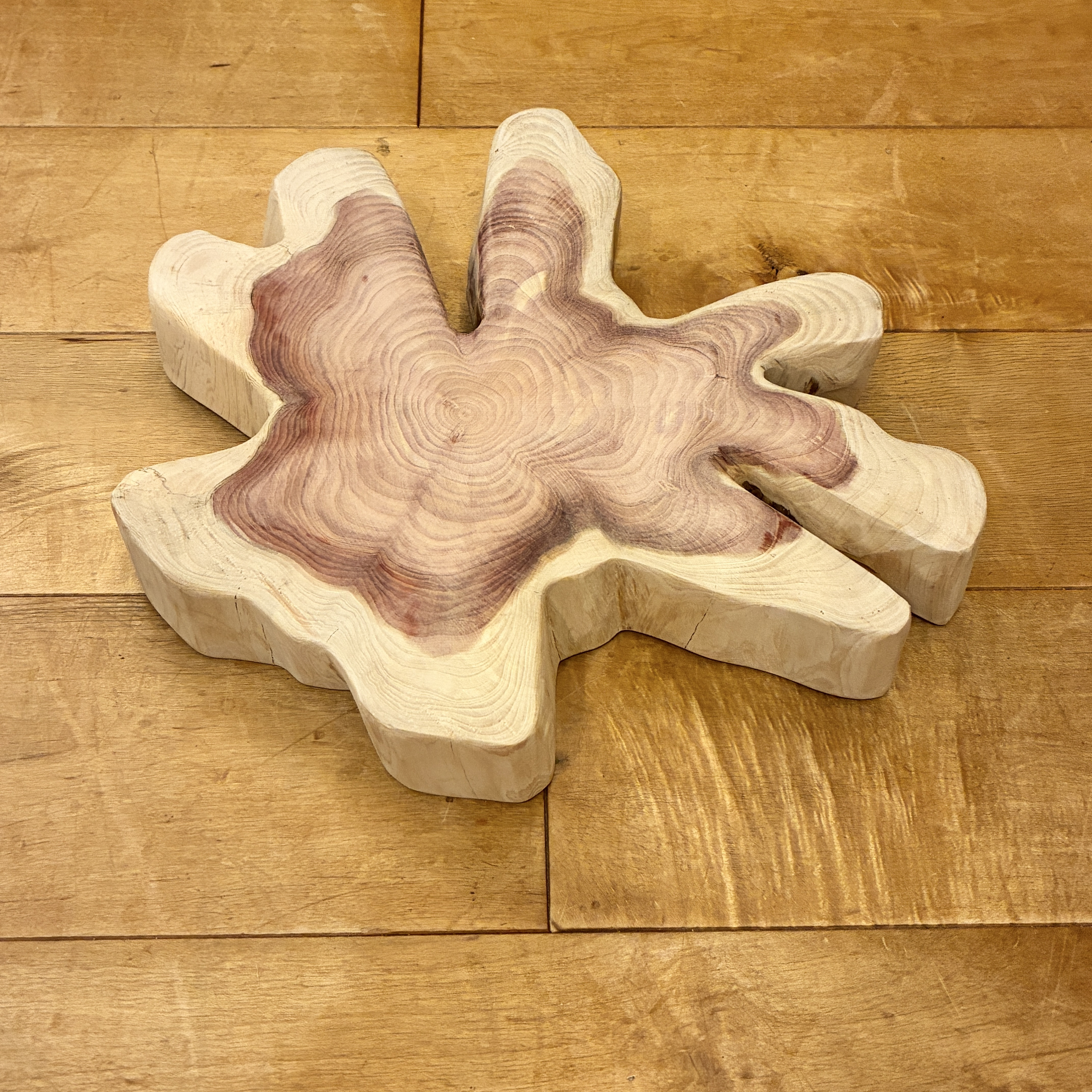 カイヅカイブキ　No.1314