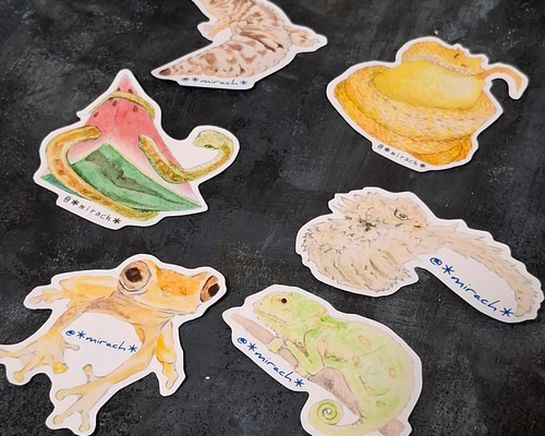 6種類から選べる爬虫類好きさんの為のシール シール・ステッカー