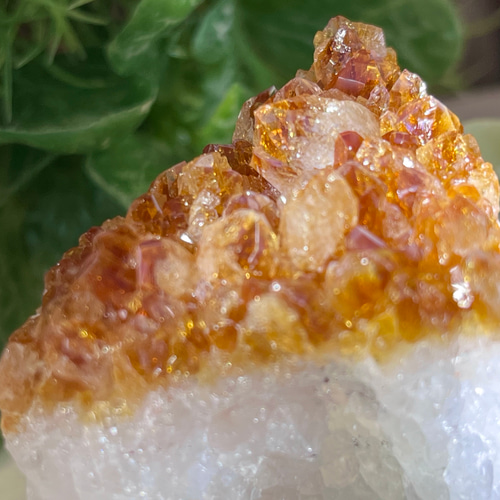 豊かさの象徴✨ アメトリンミックス シトリンクォーツ 黄水晶