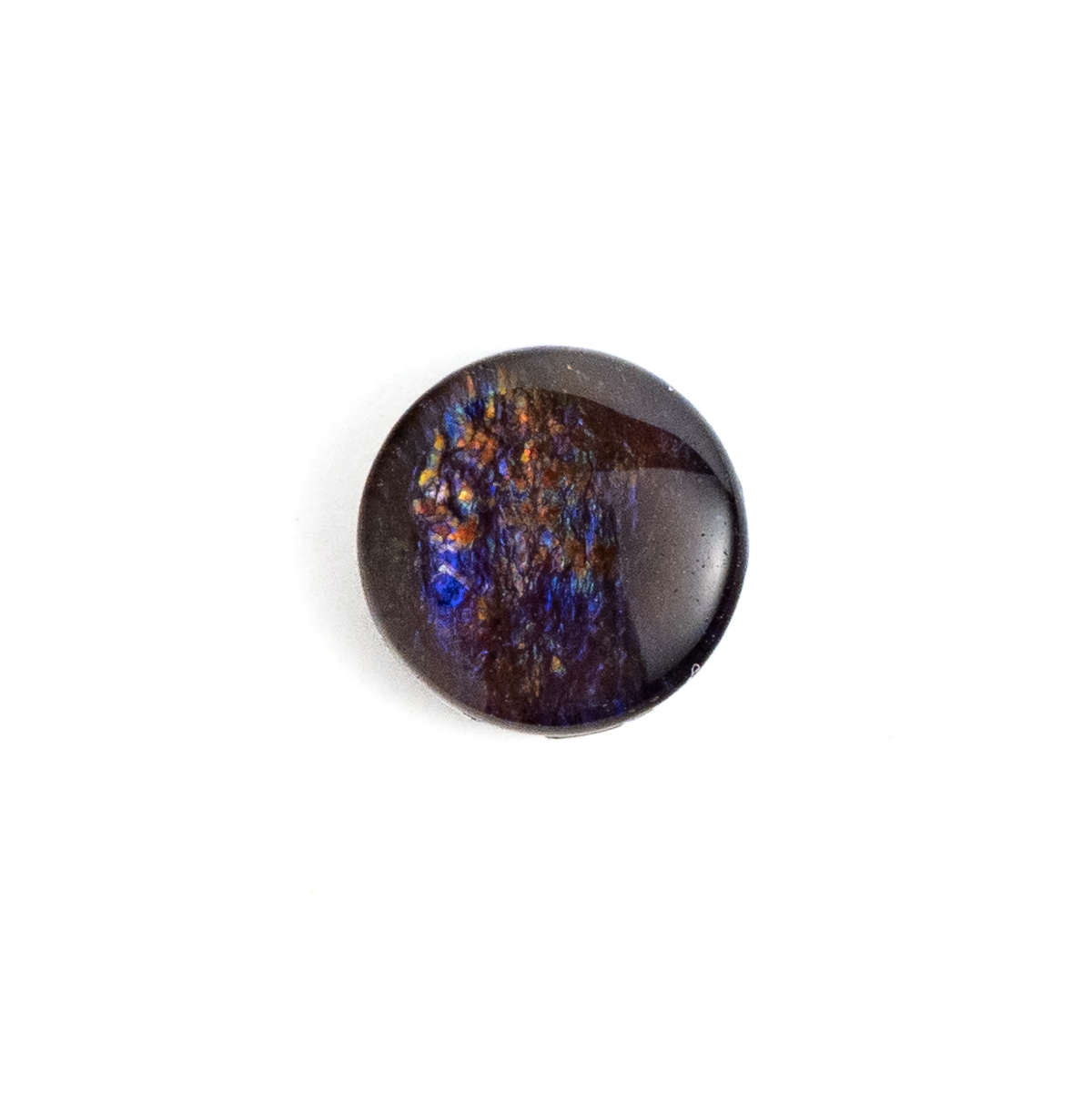 【古代の輝きをルースに】アンモライト 1.73ct