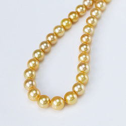 La Corser】高品質輸入 10.3-13mm 南洋ゴールドパール 天然海水パール