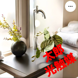 光触媒 人工観葉植物 フェイクグリーン オーガスタ ストレッチア160@m