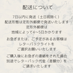 ヴィンテージビジューのイヤリング/ピアス aurore boreale 2枚目の画像