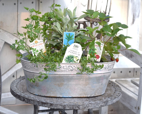 ヴィンテージ　ハーブ　アート　FRESH HERBS ヴィンテージ ハーブ アート FRESH HERBS ヴィンテージ ハーブ アート