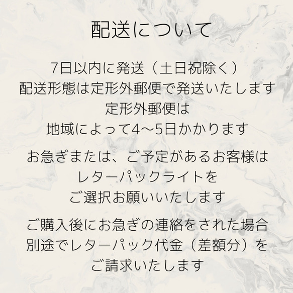 ヴィンテージビジューのイヤリング/ピアス white givre 2枚目の画像