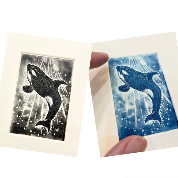 銅版画：シャチ 版画 Mai.Yamashita 通販 19499110｜Creema(クリーマ)