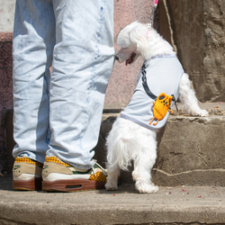 【コラボ③】犬服 Buddyポーチ　全２色　４サイズ 3枚目の画像