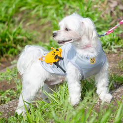 【コラボ③】犬服 Buddyポーチ　全２色　４サイズ 2枚目の画像