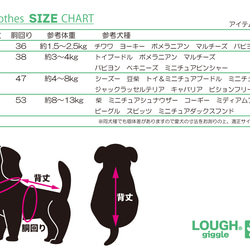 【コラボ③】犬服 Buddyポーチ　全２色　４サイズ 13枚目の画像