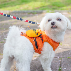 【コラボ③】犬服 Buddyポーチ　全２色　４サイズ 5枚目の画像