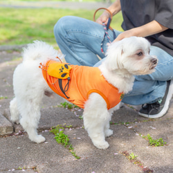 【コラボ③】犬服 Buddyポーチ　全２色　４サイズ 4枚目の画像