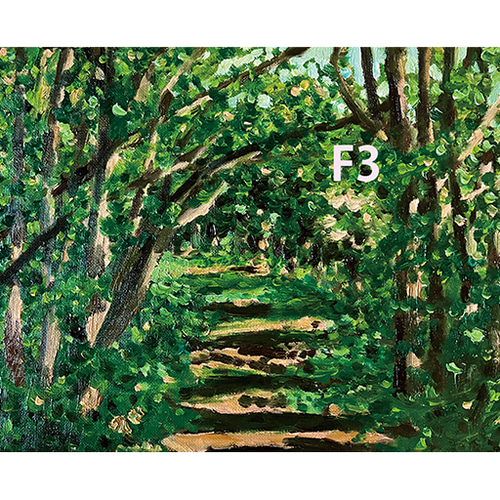 ジークレー 絵画 キャンバス「森の散歩道」アート インテリア Giclée
