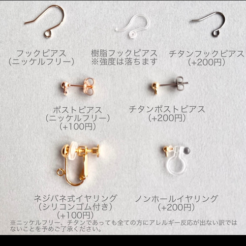 淡いオレンジ×リーフ】ドライフラワー ピアス・イヤリング