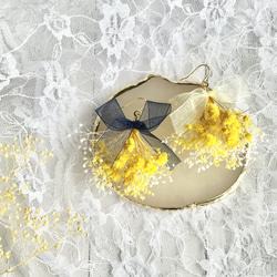 かすみ草 ピアス（フック・チェーン） の人気通販｜Creema(クリーマ