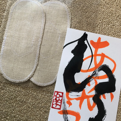 グランディング、アーシングの不思議インソール 2枚目の画像