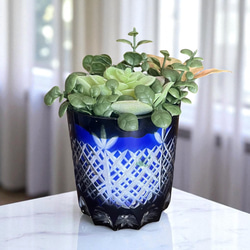 ガラス・ステンドグラス 多肉植物 のおすすめ人気通販｜Creema