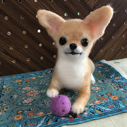 トイプードル立ち姿（アプリコット） 羊毛フェルト コーギー