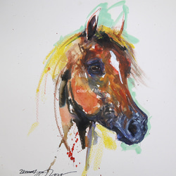 赤い馬のポートレート（高級水彩画用紙、F2、24cm×19