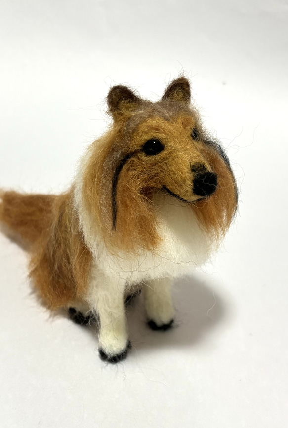 羊毛フェルト オーダー シェルティ 犬 見本品 羊毛フェルトシェルティ