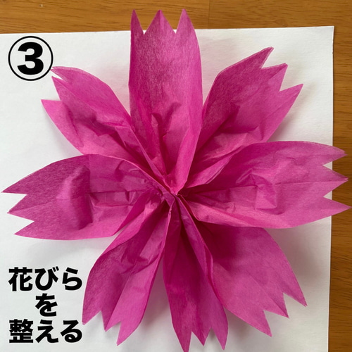 敬老の日 コスモス トンボ 秋 保育園 幼稚園 高齢者施設 製作