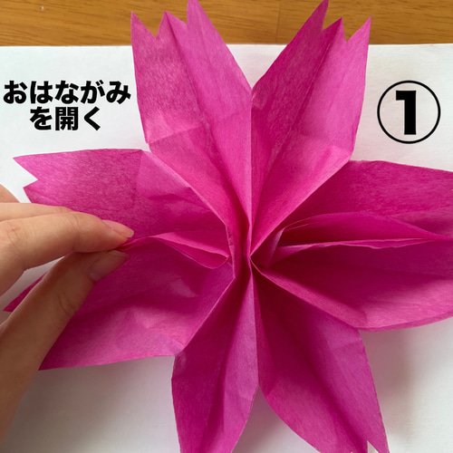 敬老の日 コスモス トンボ 秋 保育園 幼稚園 高齢者施設 製作