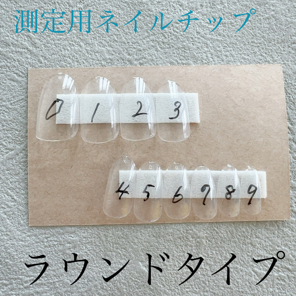 測定用ネイルチップ　ラウンドタイプ 1枚目の画像