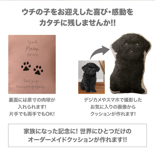 オーダー受付 わんこパネル ご予約ページ 8/12 ZX2-(24)IPTEL-(1)(