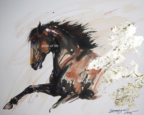 9768f71cffa5a8fa4616d3f7584de2