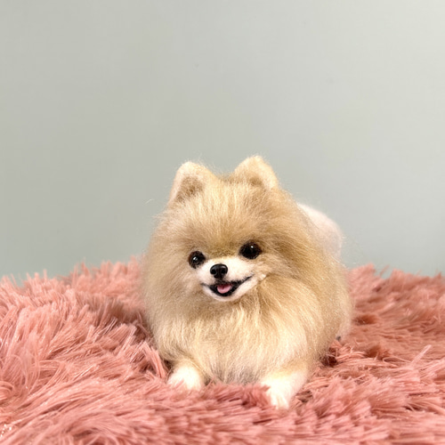 ポメラニアンお顔✩確認用✩羊毛フェルト ポメラニアン 愛犬 羊毛フェルト 額 プレゼント 羊毛犬 羊毛