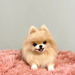 羊毛フェルト　にこにこポメラニアンのバスケット 羊毛フェルト にこにこポメラニアン のフラワーバスケット ホワイト