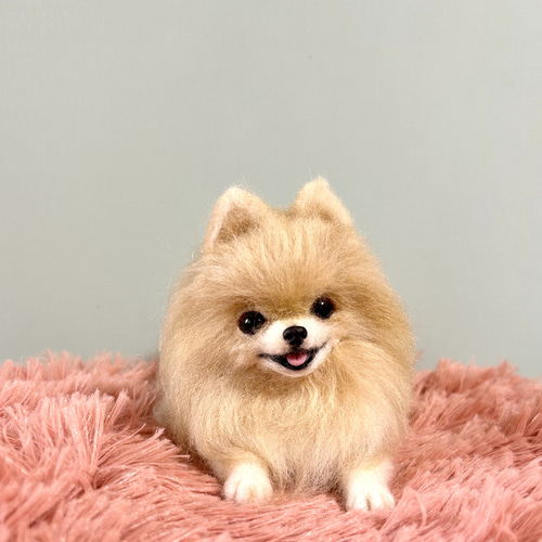羊毛フェルト　にこにこ白ポメちゃん　ポメラニアン 羊毛フェルト にこにこポメラニアン 送料無料 クリーム 羊毛