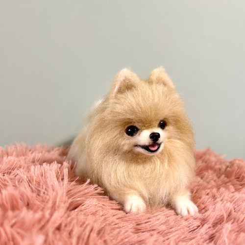 羊毛フェルト　にこにこポメラニアン　送料無料 羊毛フェルト にこにこポメラニアン 送料無料 クリーム 羊毛