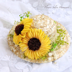 スーパー兜Vタイプ 兜丸 サボテンの 種子 Ω版200粒〜 多肉植物