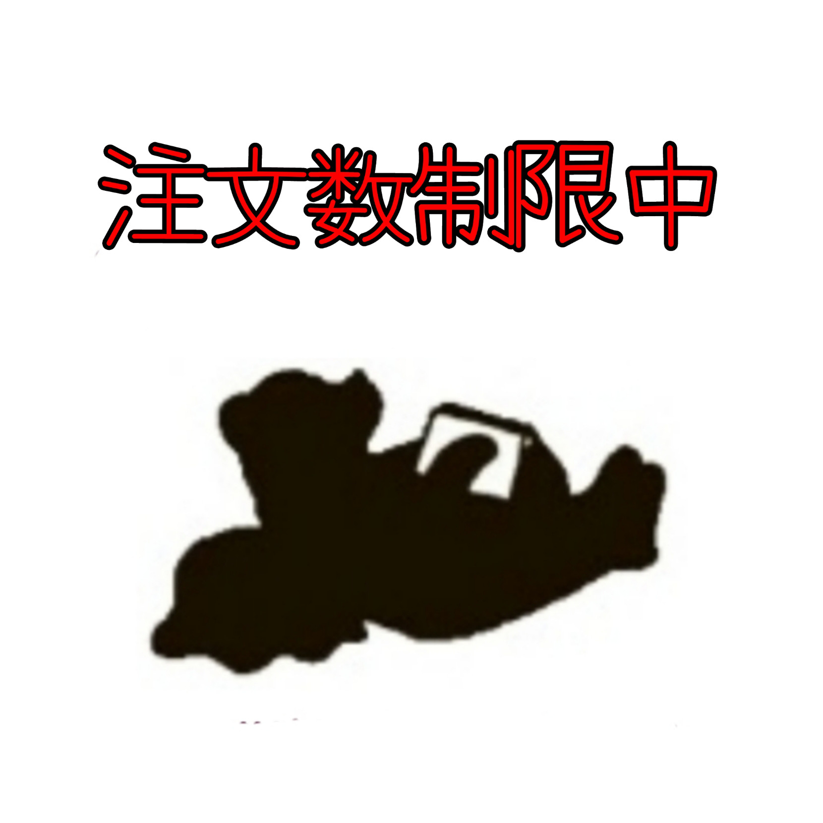 注文数制限中です