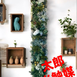 光触媒　人工観葉植物　ウォールグリーン　フェイクグリーン　壁掛け5056327b 光触媒 人工観葉植物 ウォールグリーン フェイクグリーン 壁掛け