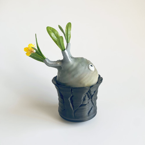 数量限定】妖精パキポン✖︎ヒビ鉢付き！｜パキポディウムグラキリス風