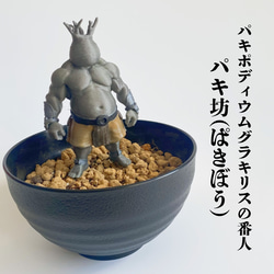 【パキポディウムの番人】パキ坊 グラキリス　12 現地球　ハンドメイド パキポディウムの番人】パキ坊 グラキリス 25 現地球