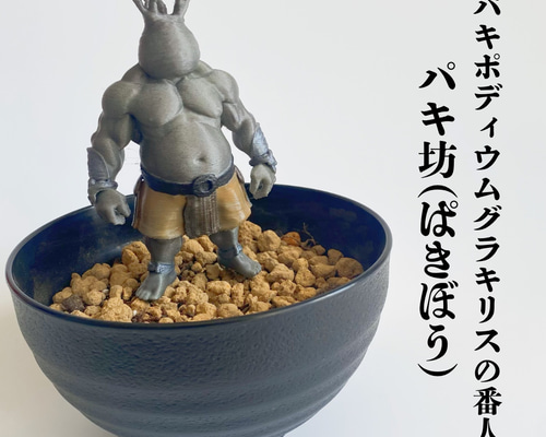 【パキポディウムの番人】パキ坊 グラキリス　12 現地球　ハンドメイド パキポディウムの番人】パキ坊 グラキリス 13現地球
