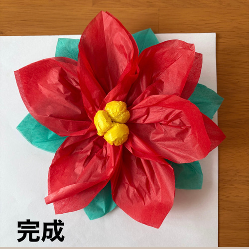 ポインセチア クリスマス 冬 保育園 幼稚園 高齢者施設 製作キット