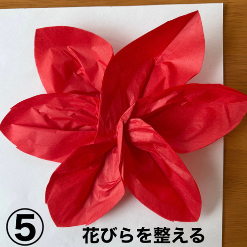ポインセチア クリスマス 冬 保育園 幼稚園 高齢者施設 製作キット