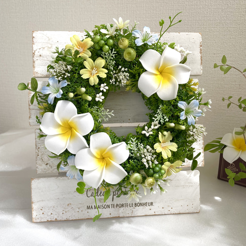 夏リース＊プルメリアグリーンリース＊Sサイズ リース 花＊花 通販