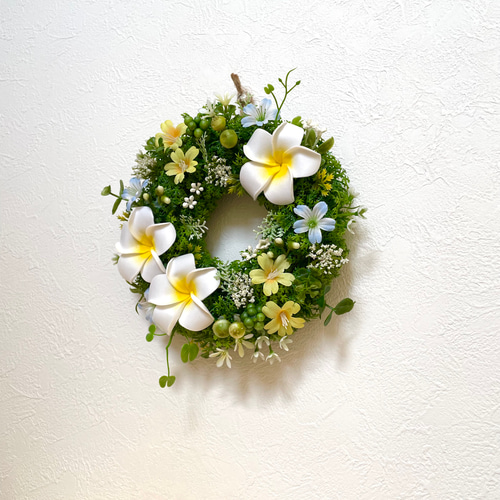 夏リース＊プルメリアグリーンリース＊Sサイズ リース 花＊花 通販