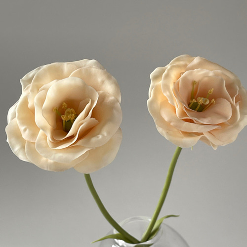 マーコ クレイフラワー オルレア トルコ桔梗 マーコ様 専用 クレイ