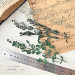 グリーンミックス　ユーカリVer.　撮影背景やイベントのディスプレイに！ 3枚目の画像