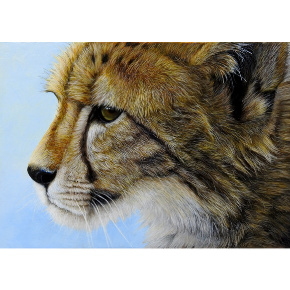 アクリル画  原画「Cub」 SMサイズ  一点物 送料無料 1枚目の画像